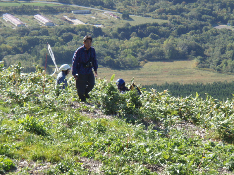 img0045.jpg