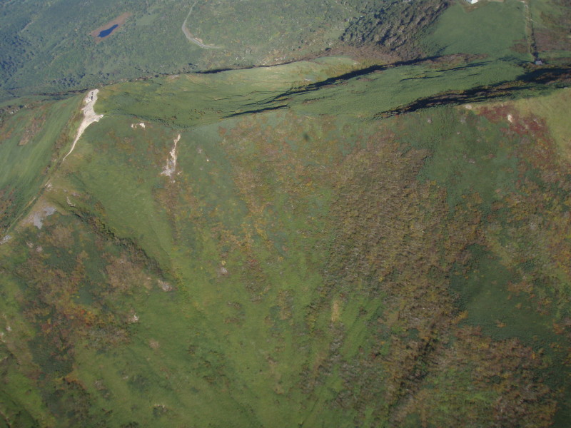 img0124.jpg