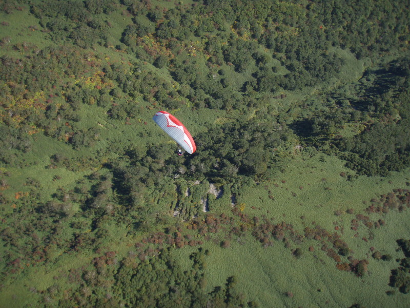 img0136.jpg