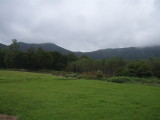 img0015.jpg