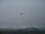 img0024.jpg