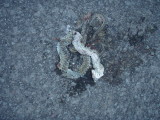 img0035.jpg