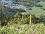 img0044.jpg