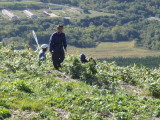 img0045.jpg