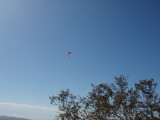 img0053.jpg