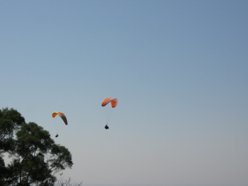 img0009.jpg