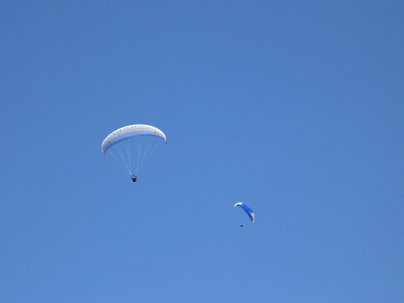 img0014.jpg