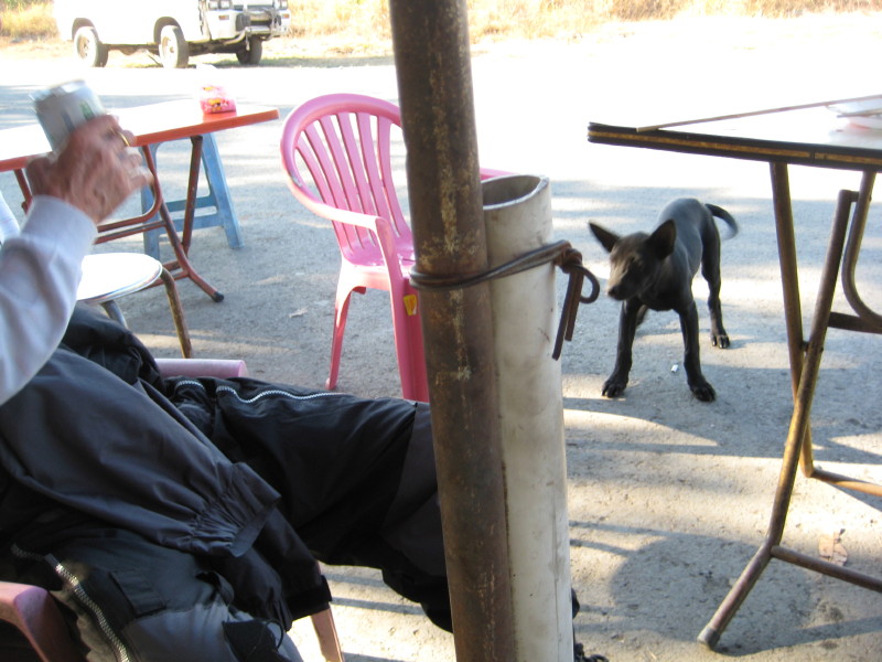 img0078.jpg
