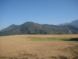 img0006.jpg