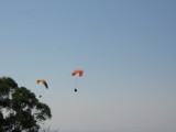 img0009.jpg