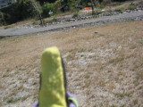 img0057.jpg
