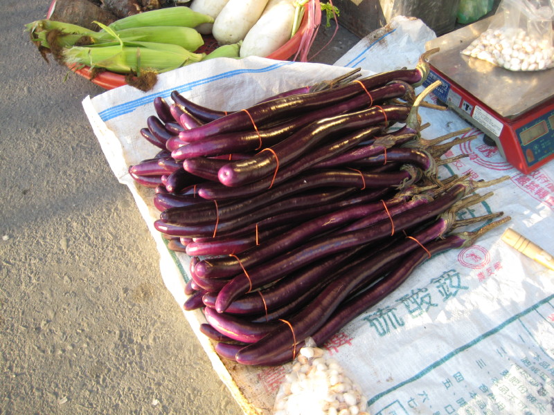 img0006.jpg