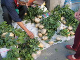 img0011.jpg