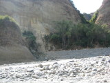 img0037.jpg