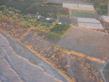 img0071.jpg