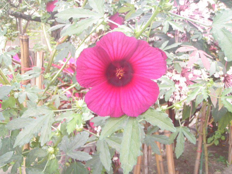 img0002.jpg
