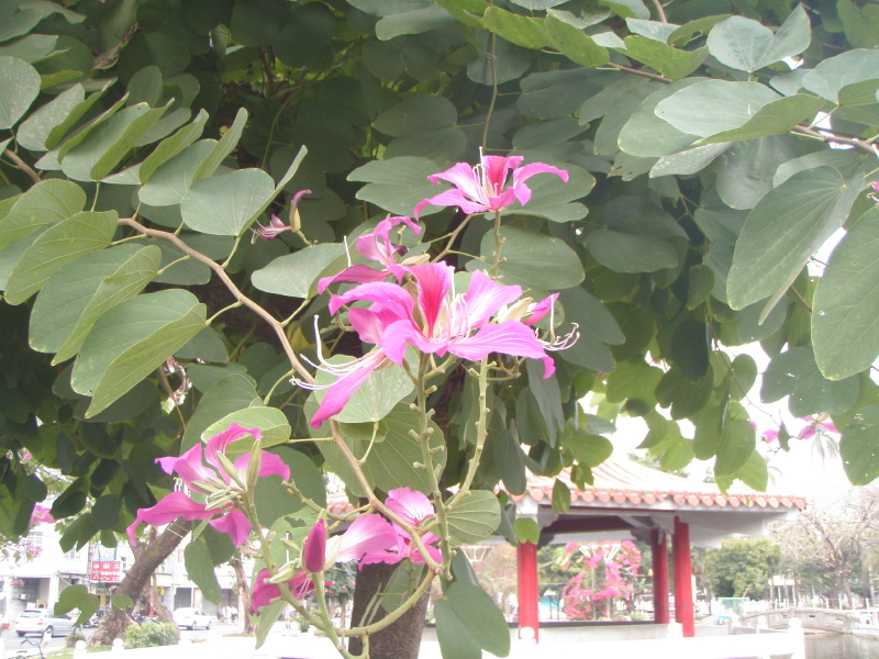img0006.jpg