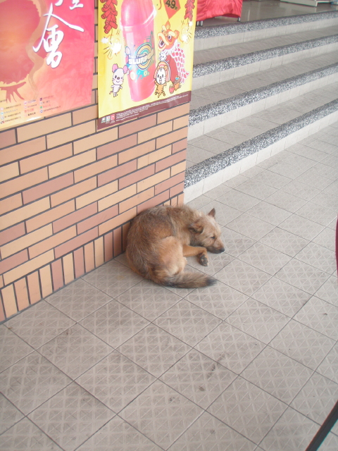 img0009.jpg