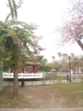 img0005.jpg