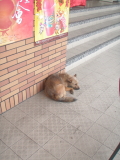 img0009.jpg