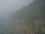 img0036.jpg