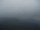 img0037.jpg