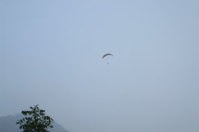 img0029.jpg
