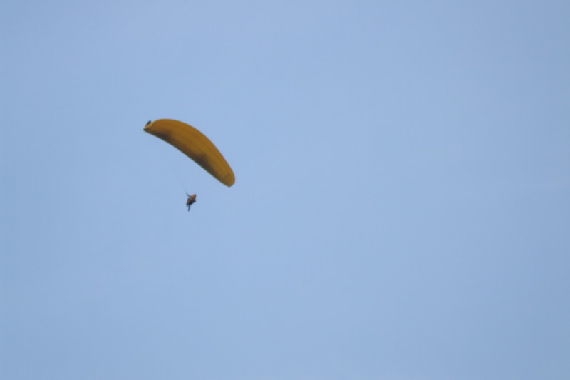 img0030.jpg