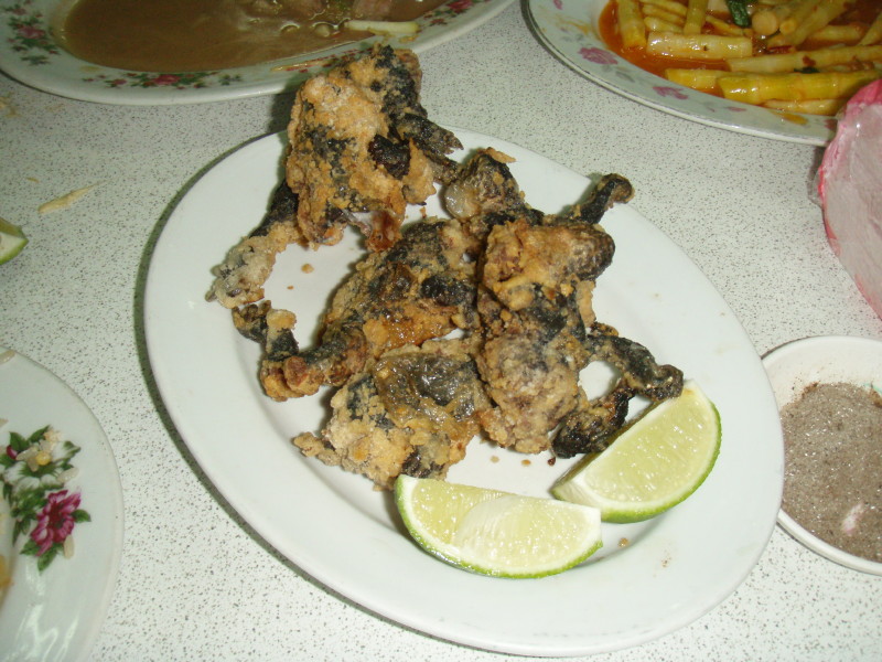 img0055.jpg