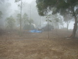 img0008.jpg