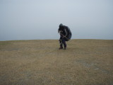 img0019.jpg