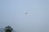 img0029.jpg