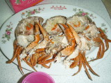 img0048.jpg