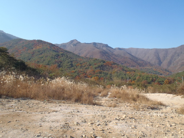 img0022.jpg