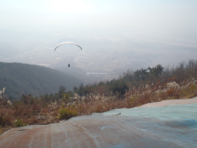img0059.jpg