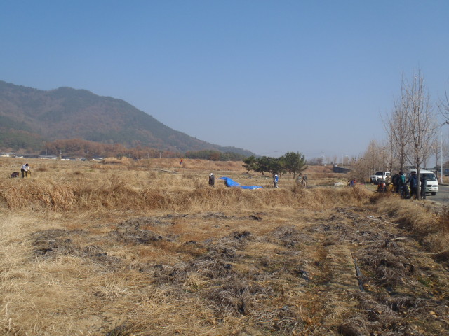 img0063.jpg