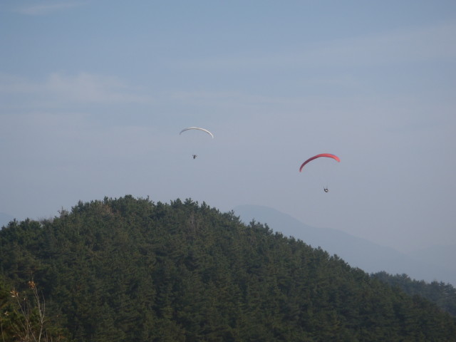 img0081.jpg