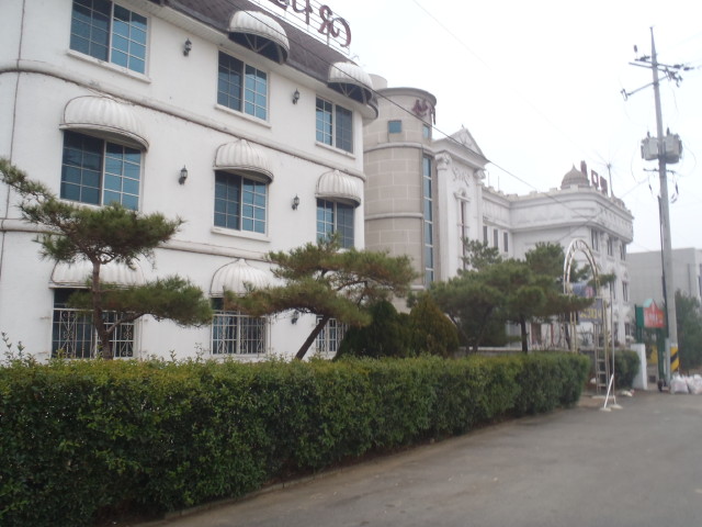img0099.jpg
