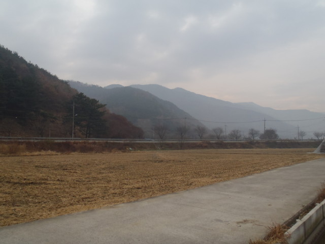 img0113.jpg