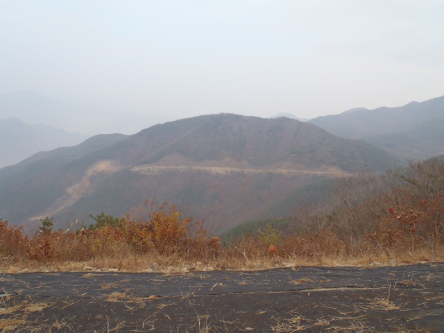 img0116.jpg