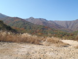 img0022.jpg