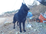 img0032.jpg