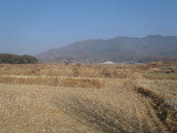img0050.jpg