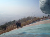 img0058.jpg