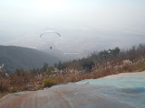 img0059.jpg
