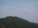 img0081.jpg