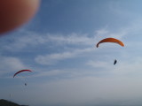 img0082.jpg