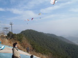 img0083.jpg