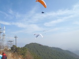 img0085.jpg