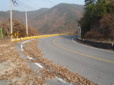 img0161.jpg